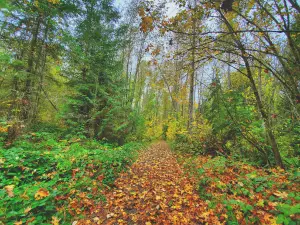Nisqually State Park