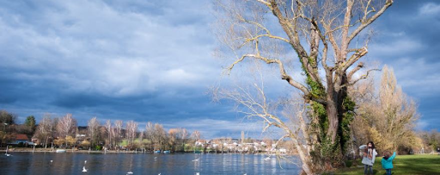 Petriwiese