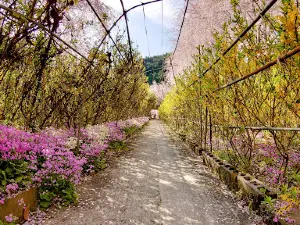 Yūkanosato Sakura Park
