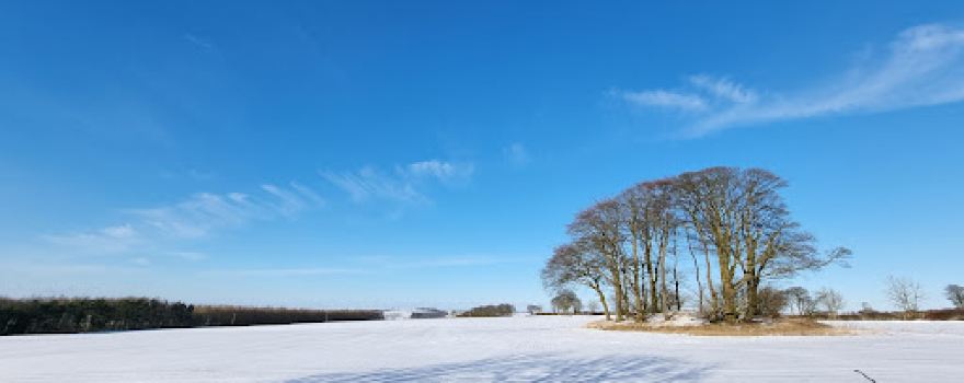 Yorkshire Wolds Glamping