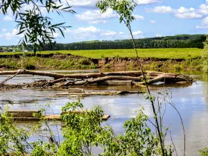 Dyoma River