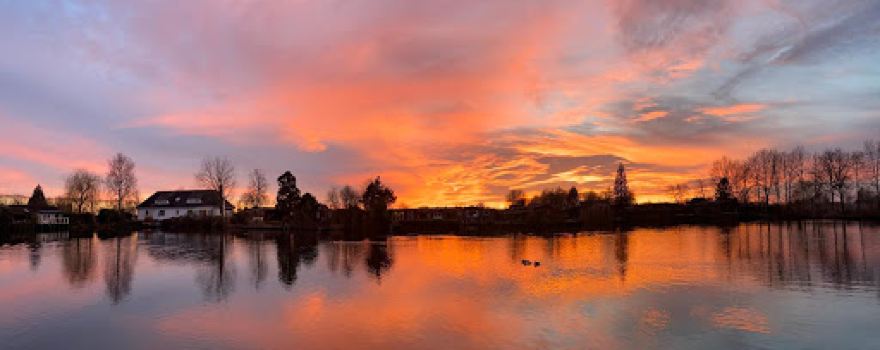 The swanlake