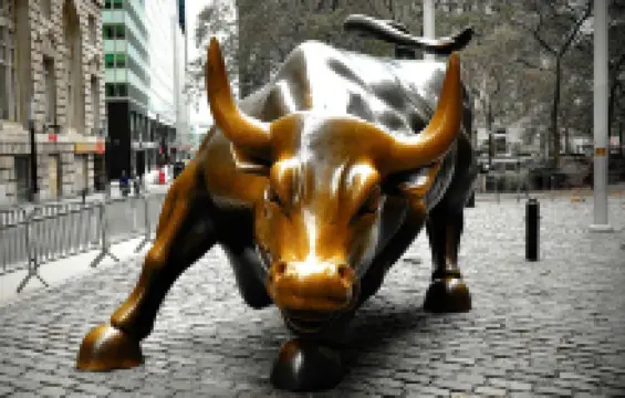 Charging Bull
