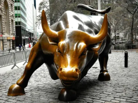 Charging Bull