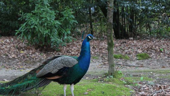 Parque do Fontelo