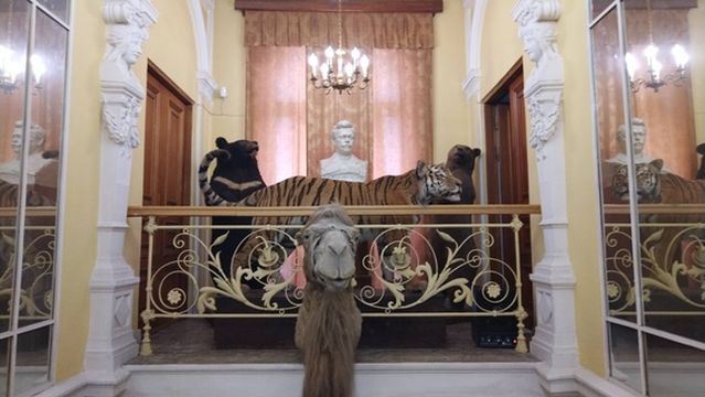 Ugolok Dedushki Durova