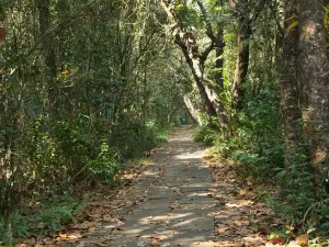 Kumarakom Bird Sanctuary