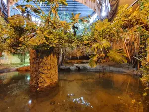 MIEJSKI OGRÓD ZOOLOGICZNY W PŁOCKU Sp. z o.o.