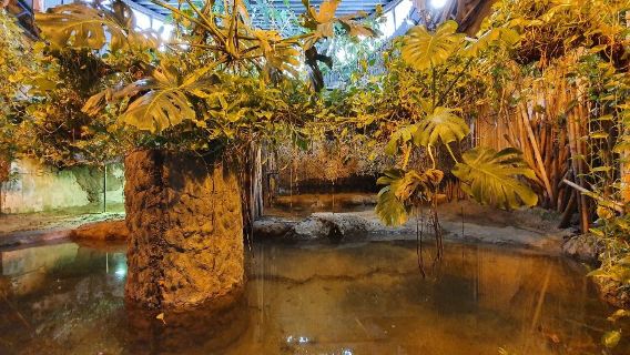 MIEJSKI OGRÓD ZOOLOGICZNY W PŁOCKU Sp. z o.o.