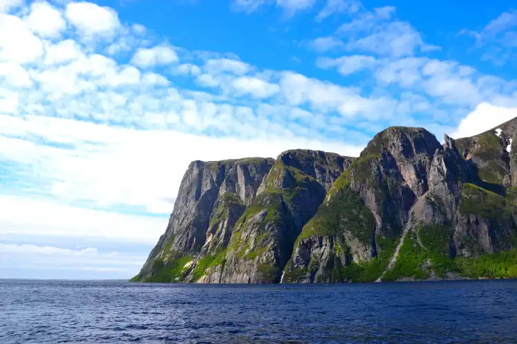 Hotels near Gros Morne
