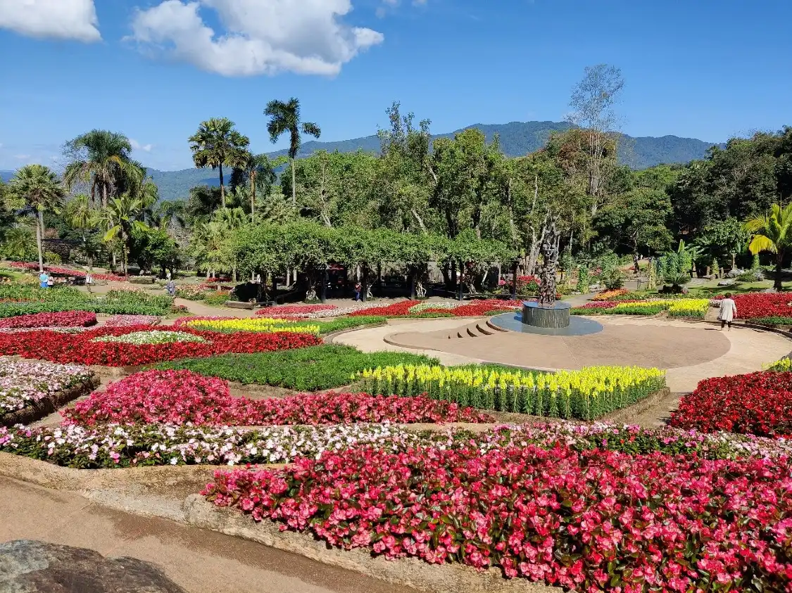 Hotels near Mae Fah Luang Garden