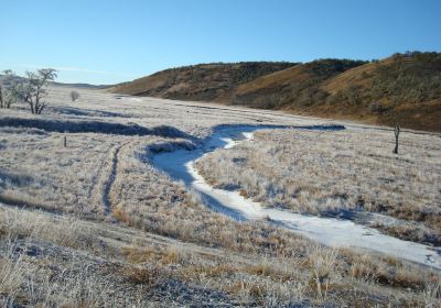 Rio Grande