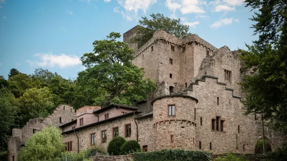 Hohenbaden Castle