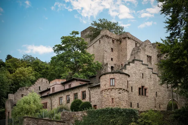 Hohenbaden Castle