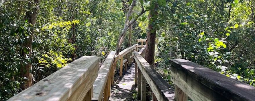 Parrot Preserve