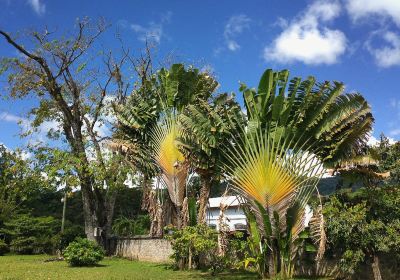 Dominica Botanical Gardens