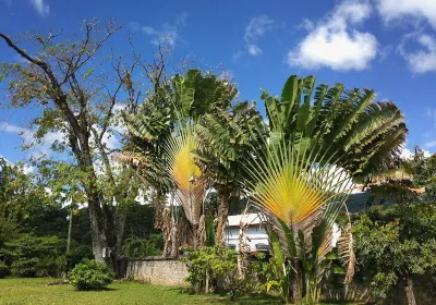 Dominica Botanical Gardens