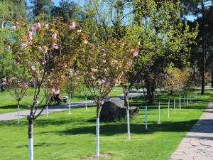 Park Kyoto