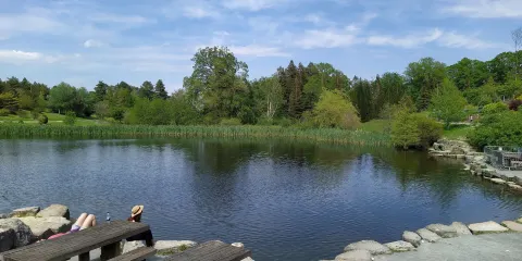 Go Ape Bedgebury （Treetop Challenge, Treetop Adventure, Zip Lines, High Ropes）