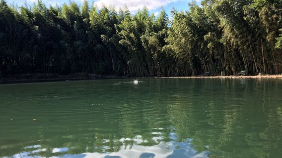 Susono Fishing Park Trout Fishery