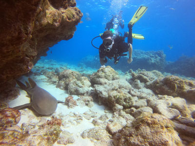 Sail Fish Scuba