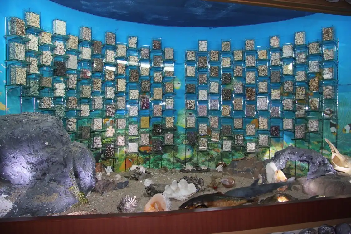 Các khách sạn gần Hwajinpo Aquarium