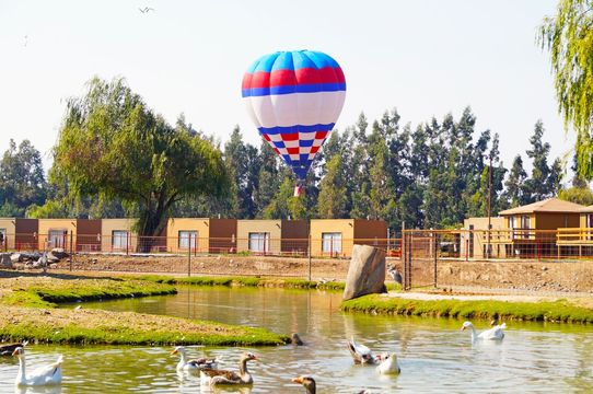 Chile Safari Park