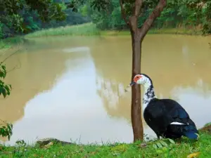 Parque Estadual de Campinhos