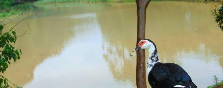 Parque Estadual de Campinhos