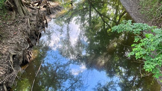 Acadiana Park Nature Station