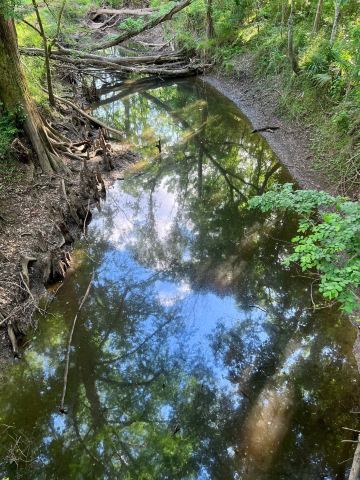 Acadiana Park Nature Station