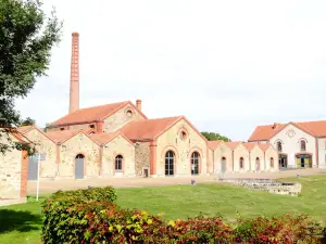 Textile Museum and Fashion