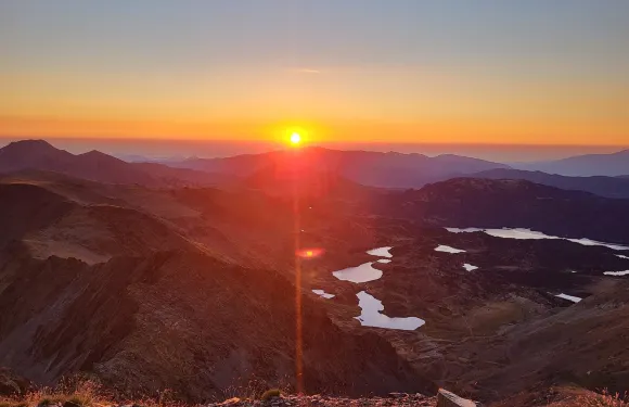 豐羅默－奧代約維亞