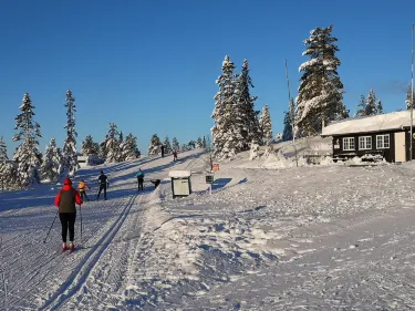 Kongsbergs kommun