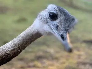 Vogelpark Abensberg