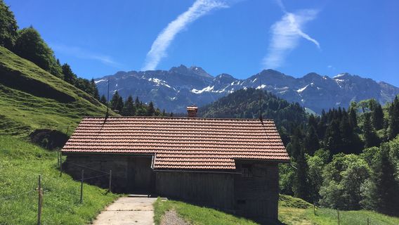 Lillyweg