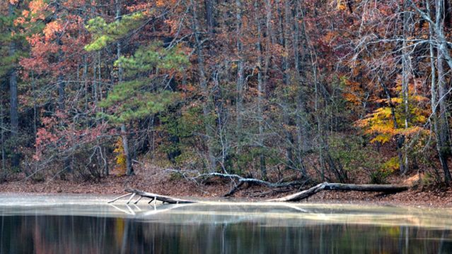 Sope Creek Hiking Trail