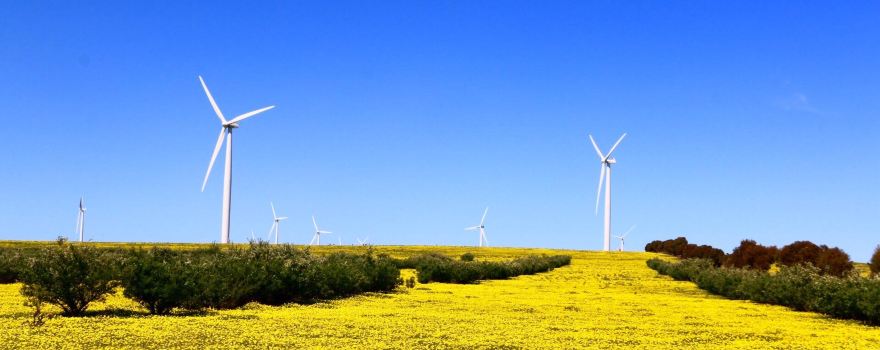 Emu Downs Wind Farm