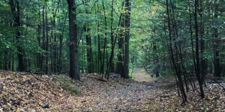 Schunnemunk State Park