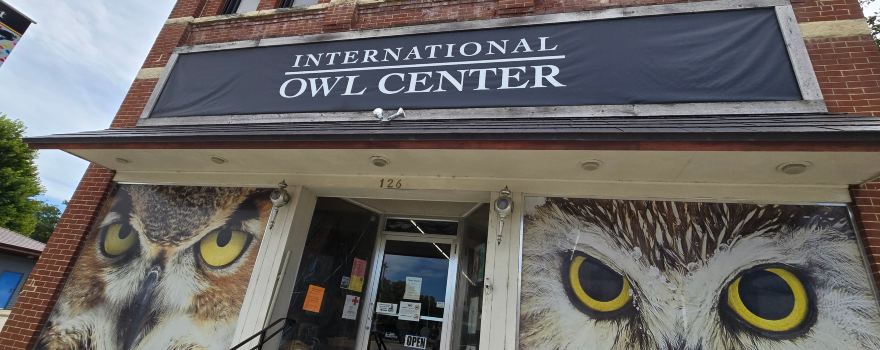 International Owl Center