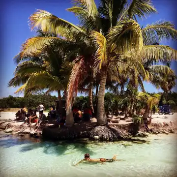 鄰近Playa Punta Esmeralda的酒店