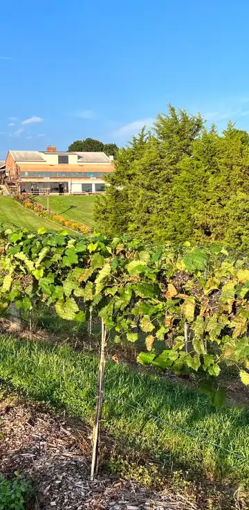 Hotels in Hamilton County