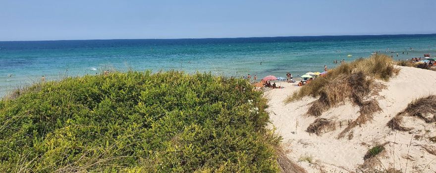 Lido Bacino Cambusa