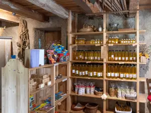 Musée Départemental de la Montagne