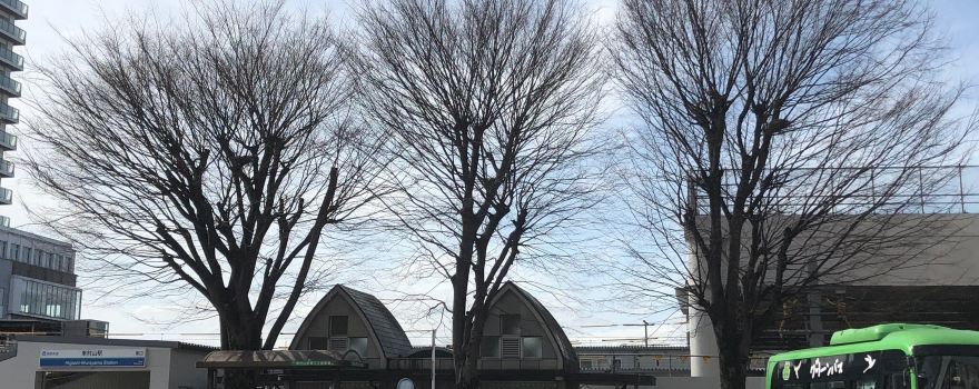Ken Shimura's Tree and Statue