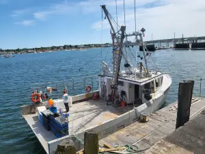 Harbor Fish Market