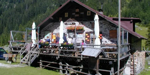 Collezione Di Cimeli Del Rifugio Cauriol