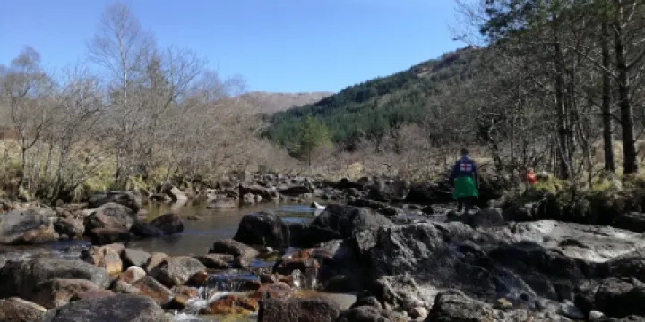 Ariundle Oakwood National Nature Reserve