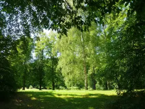 Fürstlich Greizer Park Furstlich Greizer Park