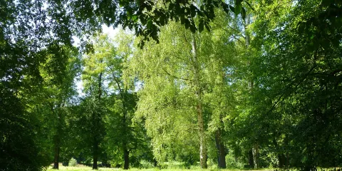 Fürstlich Greizer Park Furstlich Greizer Park